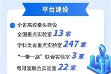 向新而行 向上突围——广东高等教育赋能高水平科技自立自强的时代答卷 | 赋能湾区高质量发展 广东高校在行动①