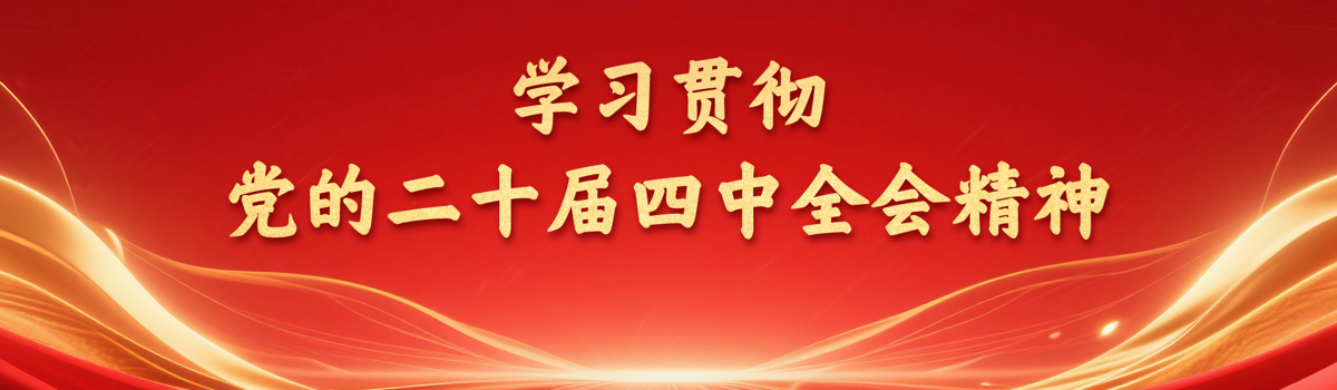 学习贯彻党的二十届四中全会精神